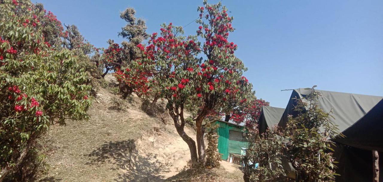 Chandarshila Hike Homestay Ukhimath Kültér fotó