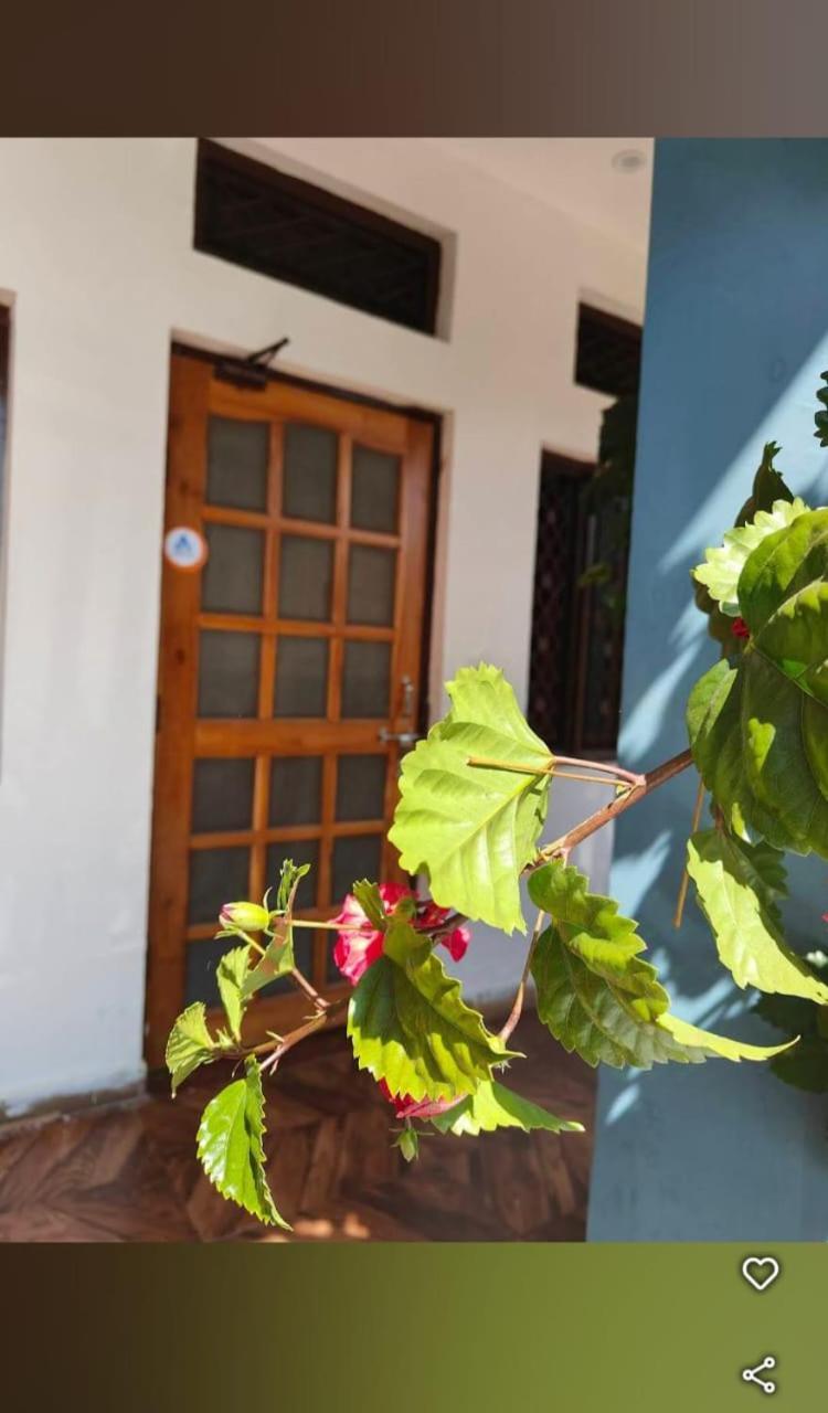 Chandarshila Hike Homestay Ukhimath Kültér fotó